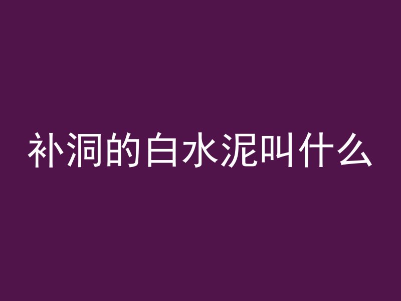 补洞的白水泥叫什么