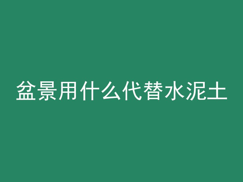 盆景用什么代替水泥土